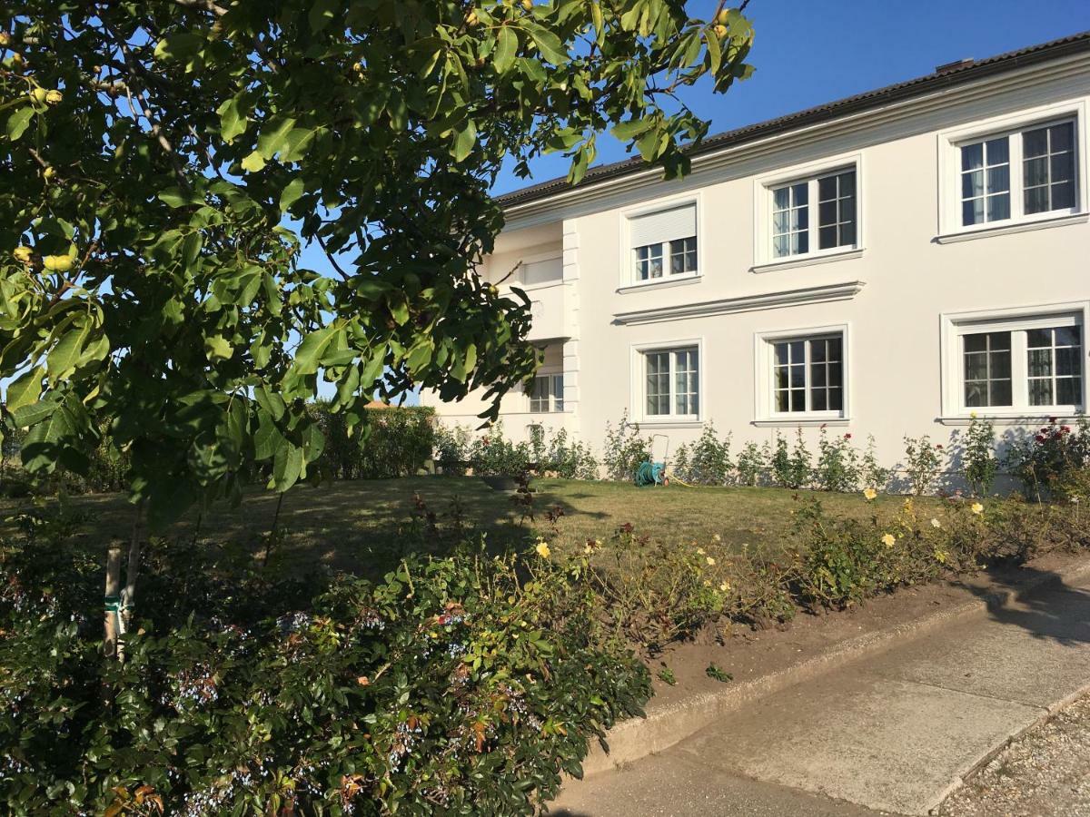 Appartement Sekt & Wein - Walter Klein à Illmitz Extérieur photo